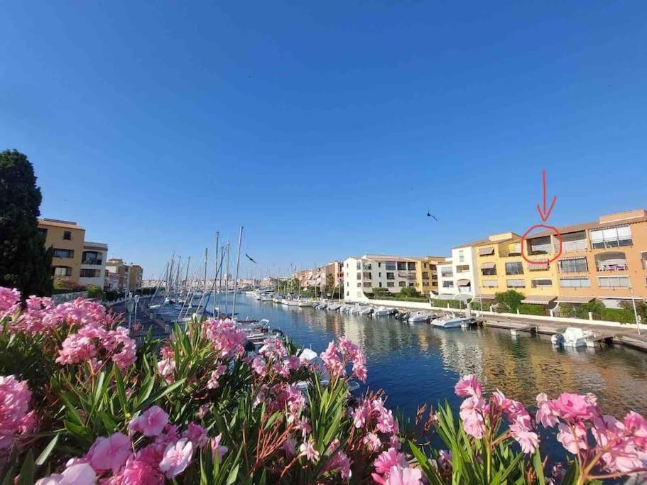 Cap'Nomad Studio Cote Mer - Balcon - Piscine - Parking Agde Esterno foto